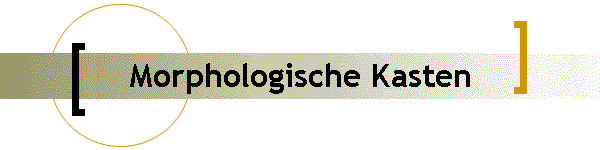 Morphologische Kasten