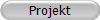 Projekt